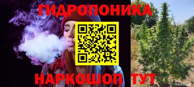 индика Анжеро-Судженск