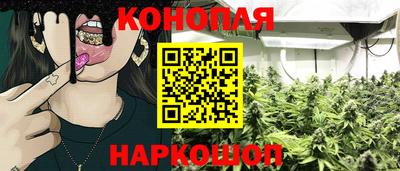 индика Анжеро-Судженск