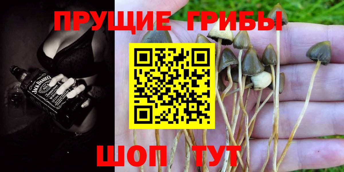 Псилоцибиновые грибы прущие грибы  даркнет сайт  Ульяновск  Вход с VPN 